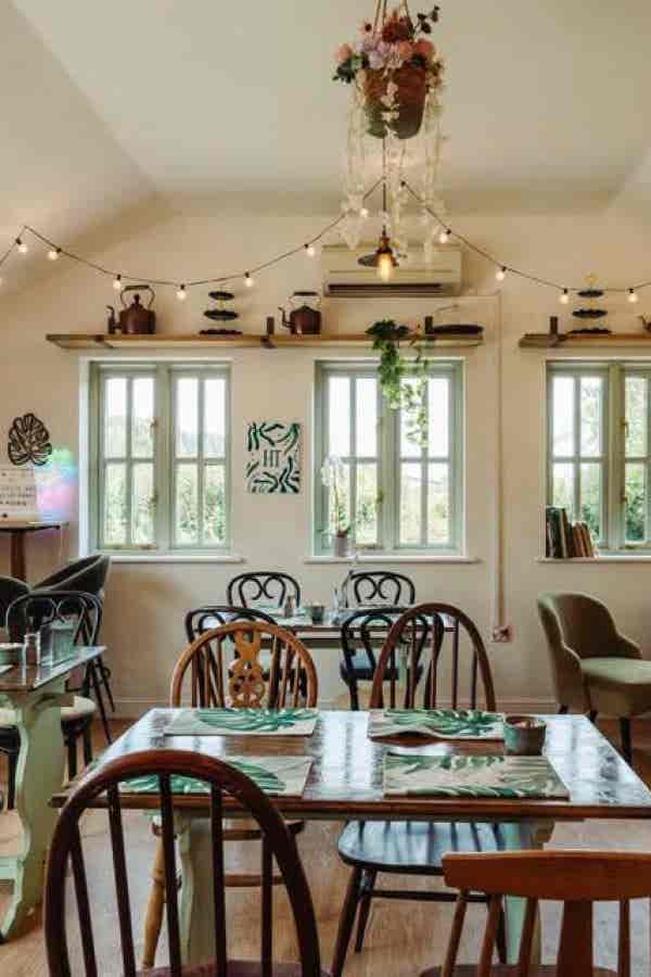 558947035_122145342998867353_186739110060455807_n